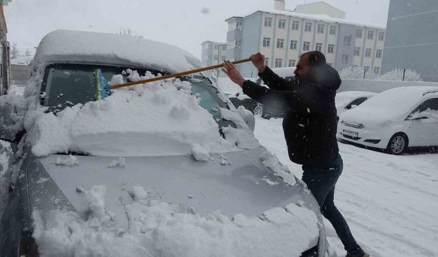 Bitlis'te kar mesaisi