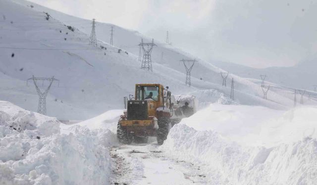Bitlis'te yoğun karla mücadele çalışması