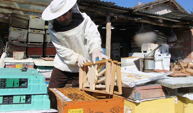 Bu seçimde kazananı 'arılar' belirleyecek