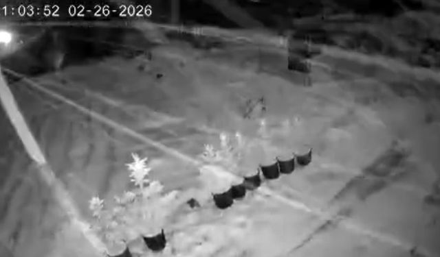 Çankırı'da kar yağışı etkili oluyor