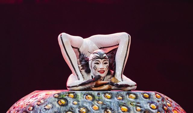Cirque du Soleil'in böceklerin dünyasını anlatan dev yapımı İstanbul'da sahne alacak