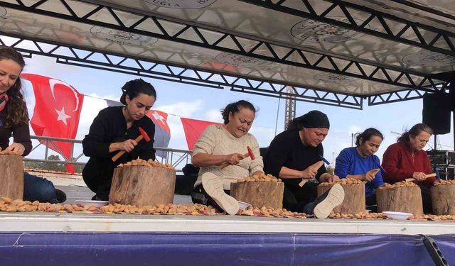 Datça 7. Badem Çiçeği Festivali sona erdi