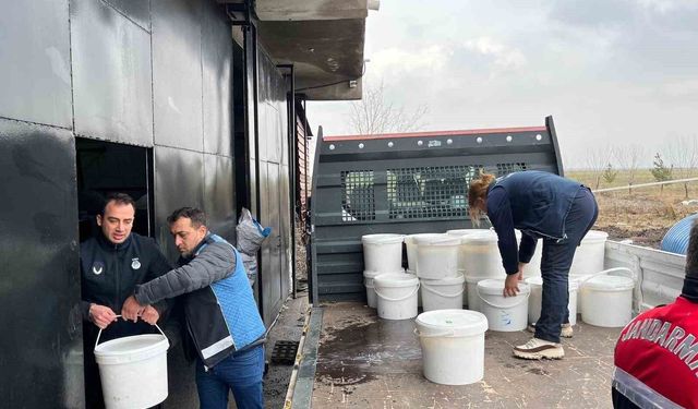 Diyarbakır'da 5 işletmede ele geçirilen 460 kilogram peynir imha edildi