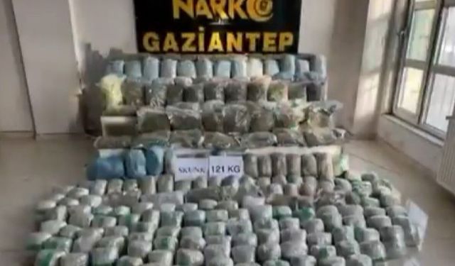 Gaziantep'te 121 kilo skunk ele geçirildi: 1 şahıs tutuklandı