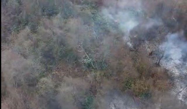 Görele'de örtü yangını korkuttu