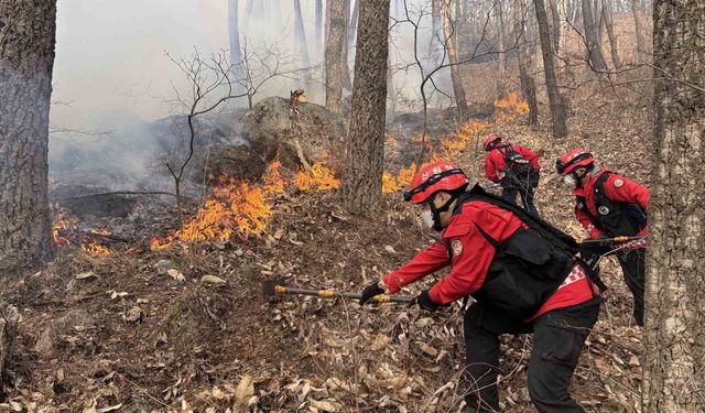 Güney Kore'de 3 gündür devam eden orman yangınında 190 hektarlık alan küle döndü