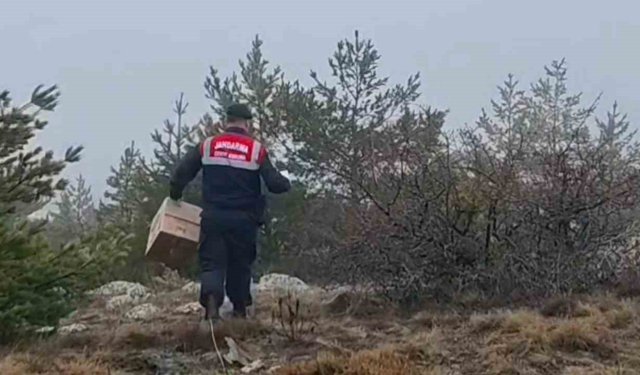 HAYDİ ekipleri doğadaki canlıları unutmadı