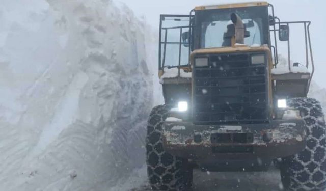 Hizan'da çığ tehlikesi nedeniyle karla mücadele çalışmaları durduruldu
