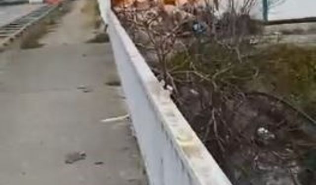 Hopa'da şantiyede çıkan yangın korkuttu