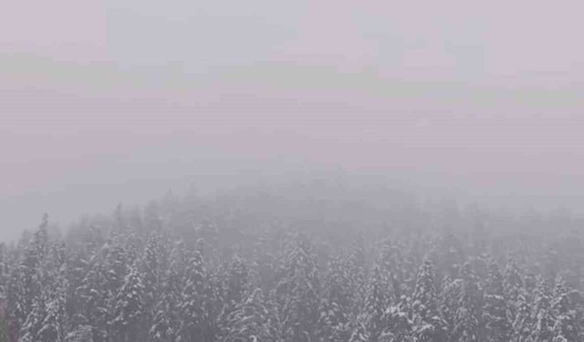 Ilgaz Dağı'nda kar yağışı etkili oldu
