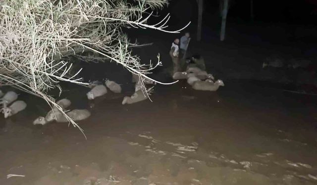 İtfaiyeden koyun kurtarma operasyonu