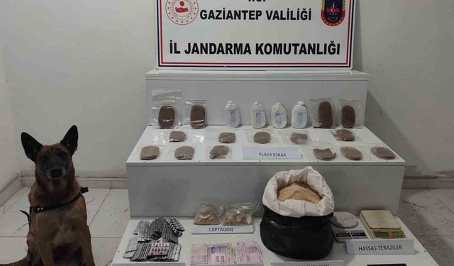 Jandarmanın uyuşturucu ve kaçakçılık operasyonlarında 10 şahıs tutuklandı