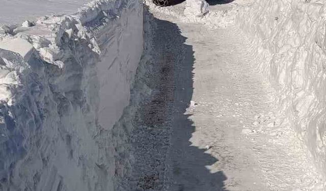 Karlıova'da 2 metreyi aşan karla mücadele