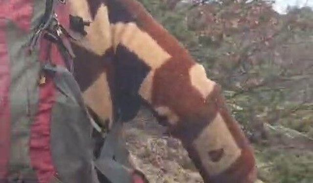 Kuş gözlemi için çıktığı arazide ayı ile karşı karşıya kaldı... Korku dolu anlar kamerada