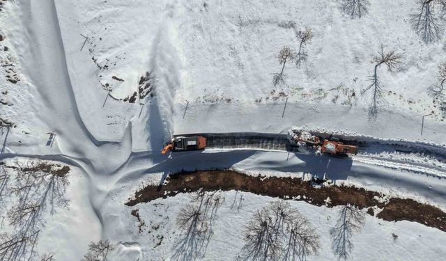 Muş ile Bitlis arasındaki kara yolu kar ve tipi nedeniyle ulaşıma kapatıldı