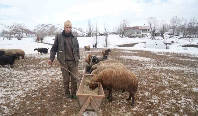 Muş'ta kış ve bahar aynı anda yaşanıyor