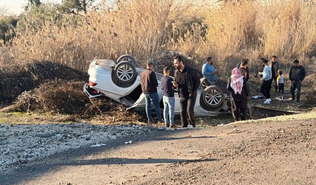 Pamuk sapları sürücünün hayatını kurtardı