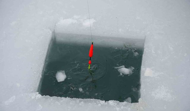 Sadak Baraj Gölü buz tuttu