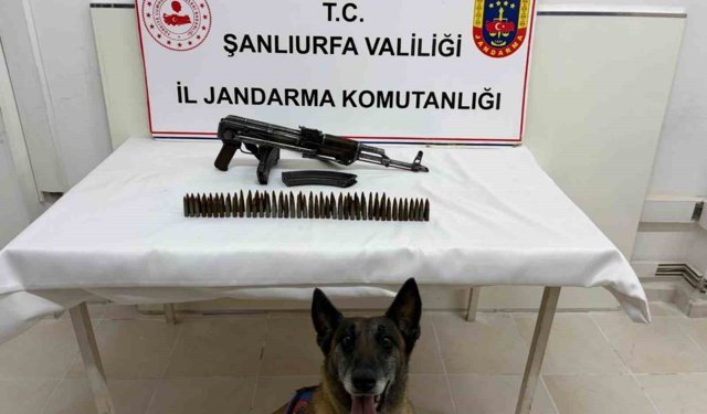 Şanlıurfa'da uzun namlulu silah ele geçirildi: 1 gözaltı