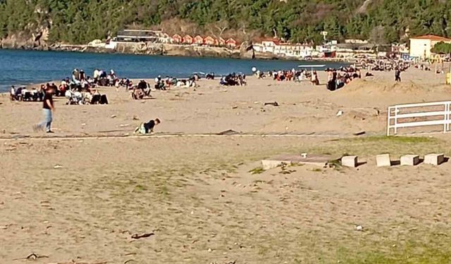 Sıcaklığın 28 dereceye çıktığı Bartın'da plaj ve parklar doldu