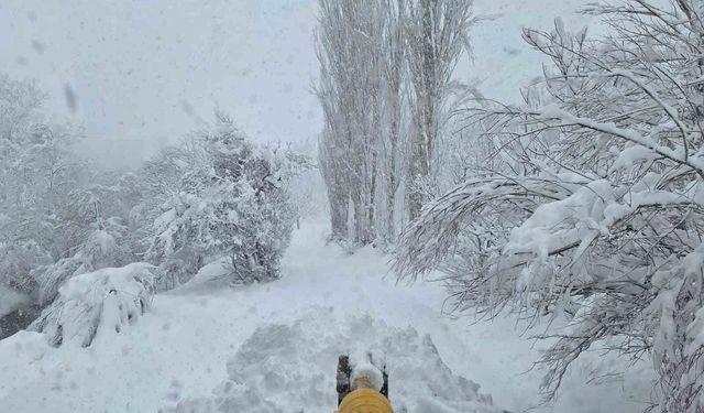 Siirt'te karla kaplı yollar ulaşıma açıldı