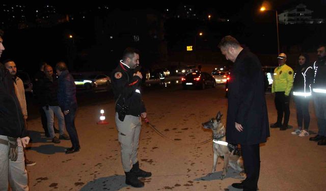 Şırnak'ta 700 polisin katılımı ile 'Narko Alan' uygulaması