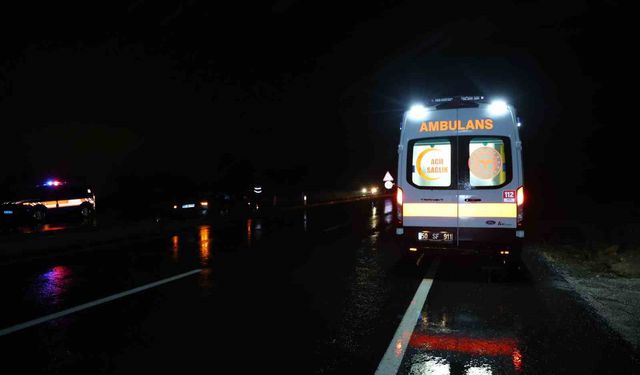 Su birikintisine giren otomobil refüje düştü: 1 yaralı