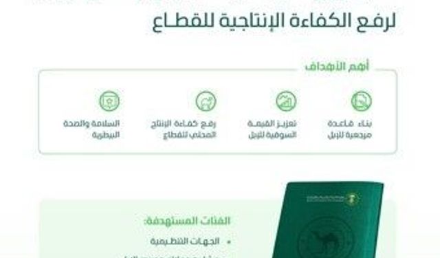 Suudi Arabistan'dan develere pasaport uygulaması