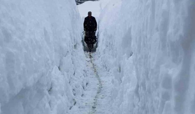 Tunceli'de kar kalınlığı insan boyunu geçti