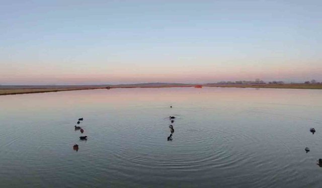 Uzunköprü'de kaçak avlanan 4 kişiye 762 bin TL ceza