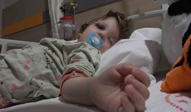 Yalova'da komşu kavgasında yaralanan 14 aylık bebek taburcu edildi