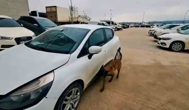 Yalova'da uyuşturucu operasyonu: 2 tutuklama