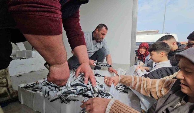 1 ton hamsi 15 dakika da tükendi