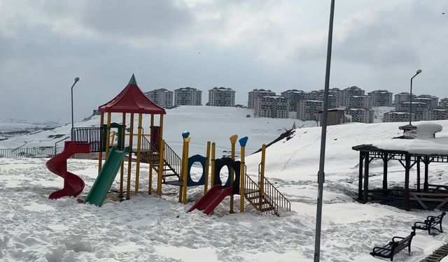 40 kilometre arayla iki mevsim: Yüksekova'da kar, Esendere'de bahar mesaisi