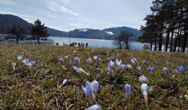 Abant'ta karların ardından bahar manzarası