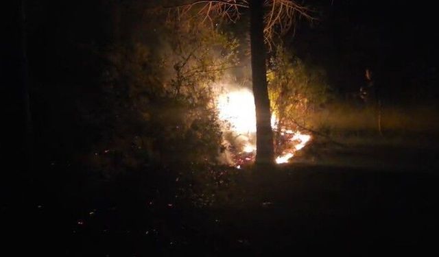 Alanya'da ormanlık alanda çıkan yangın büyümeden söndürüldü