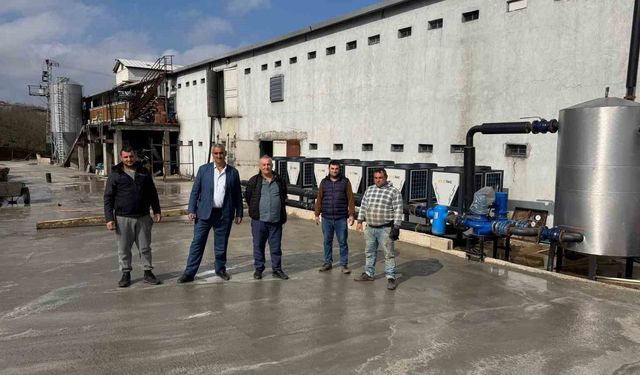 Alaplı Çayı'nda telef olmuş tavukların bulunmasının ardından tavuk çiftliği sahibi suçlamaları reddetti