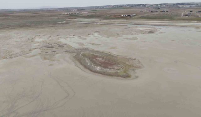 Allı turnaların yuvası yok oluyor