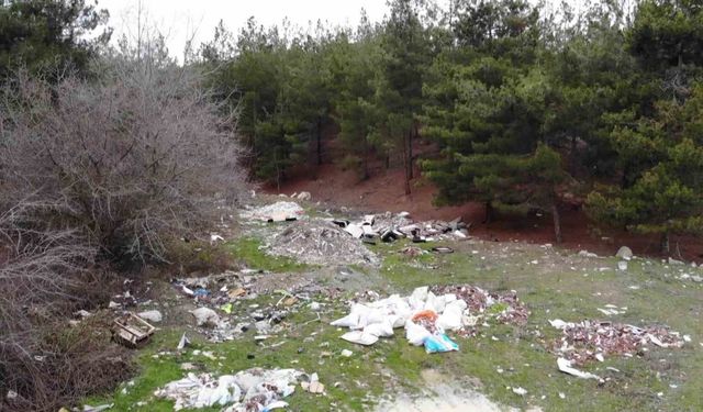 Amasya'da orman çöplüğe dönüştü: 'Bu toprakları piyangodan kazanmadık'
