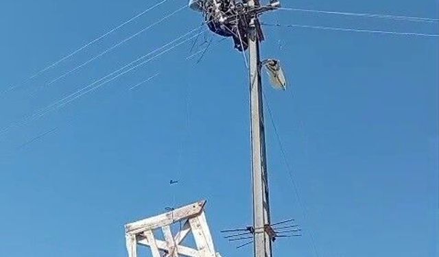 Aras Elektrik'ten doğa dostu adım: Fırtınada zarar gören leylek yuvaları yeniden yerine yerleştirildi