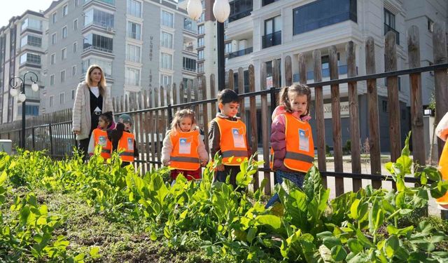 Atakum'da ata tohumla geleceğe yatırım