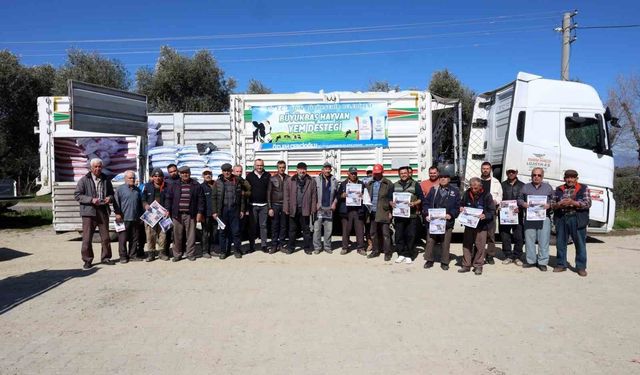 Aydın Büyükşehir'den Yenipazarlı üreticilere yem desteği