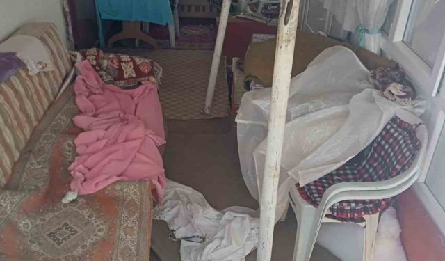 Ayıların Sis Dağı'ndaki yayla evlerine girme mesaisi yeniden başladı