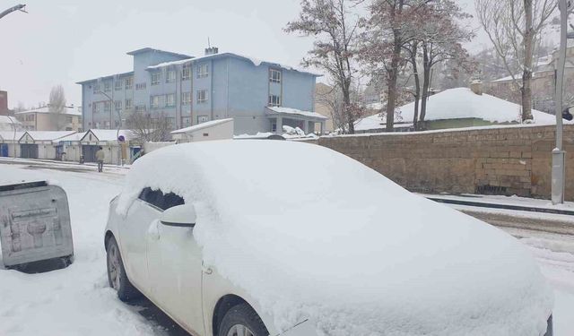 Başkale'de kar yağışı