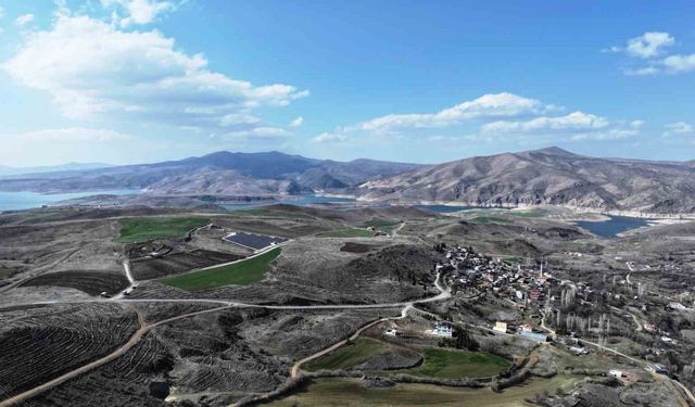 Başkan Çolakbayrakdar: 'Türkiye'de ağaç dikmede rekor kırdık, şimdi yeni bir rekor için çalışıyoruz'