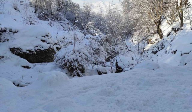 Batman'da mart ayında kar yağışı etkili oldu