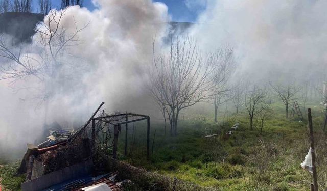 Bilecik'te bağ evinde çıkan yangın korkuttu