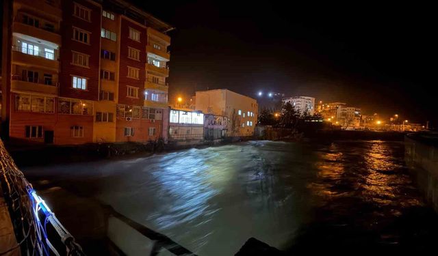 Bitlis Çayının su seviyesi arttı, Baykan'da tedbir alındı
