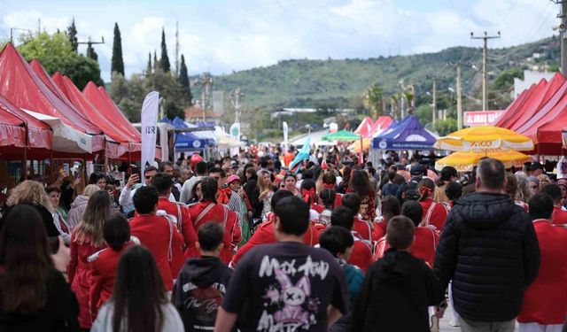 Bodrum'da Acı Ot Festivali'ne insan seli