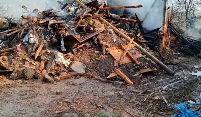 Bolu'da iki katlı ahşap ev ve ahır alev alev yandı